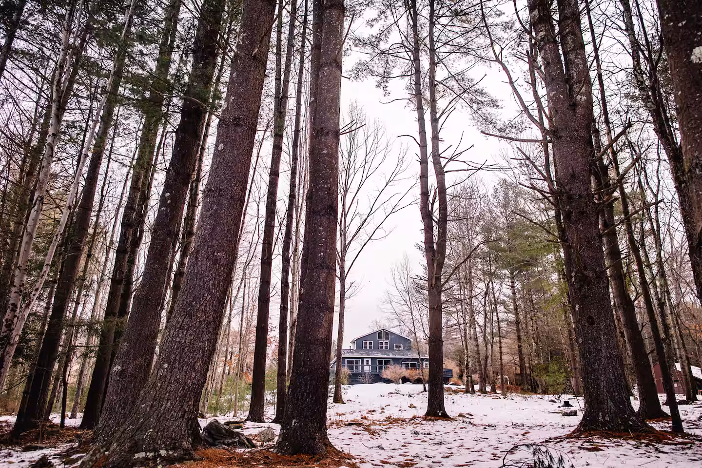 Natural surroundings